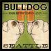 Winston Porter 'Bulldog Brewing Company Seattle' Framed Vintage Advertisement Paper in Green/Orange | 13 H x 13 W x 1 D in | Wayfair 16240