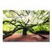 DecorumBY Tree of Strength - Unframed Photograph on Paper in Gray | 46 H x 46 W x 2.5 D in | Wayfair Abstract Art - "Tree of Strength" AL SQ46x46
