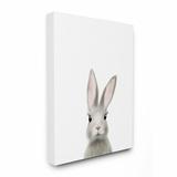Viv + Rae™ Duell Baby Bunny Painting Wall Décor Canvas | 30 H x 24 W x 1.5 D in | Wayfair ED3530192A6A458787DB70467A5544AA