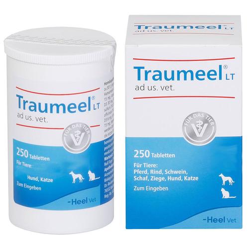 Traumeel LT ad us.vet.Tabletten 250 St Tabletten