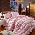 ZXGQF Goose Feather and Down Duvet/Quilt, Hypoallergenic Quilted Down Alternative Hotel Style Use Insert or Stand Alone Comforter (Pink,220 * 240cm/4kg)