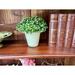 One Allium Way® Regency Spring Boxwood Topiary in Pot Ceramic/Plastic | 8 H x 7.5 W x 7.5 D in | Wayfair F5979EA2D3AA4DF182661C7C9FDF6019