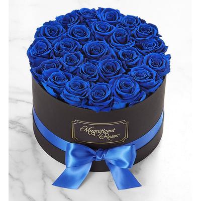 1-800-Flowers Flower Delivery Magnificent Preserved Blue Velvet Roses One Dozen Blue Velvet