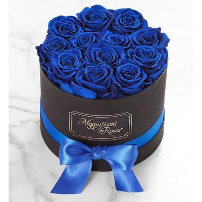 1-800-Flowers Flower Delivery Magnificent Preserved Blue Velvet Roses Classic Blue Velvet