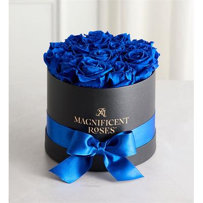 1-800-Flowers Flower Delivery Magnificent Preserved Blue Velvet Roses Preserved Classic Blue Velvet Roses One Dozen