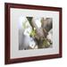 Ebern Designs Before Bloom by Monica Mize - Picture Frame Photograph Print on Canvas in Green | 16 H x 20 W x 0.5 D in | Wayfair MF133-W1620MF
