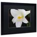 Ebern Designs 'Easter' Framed Photographic Print on Canvas Canvas | 16 H x 20 W x 0.5 D in | Wayfair MF141-B1620BMF