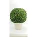 Charlton Home® Preserved Boxwood Topiary in Pot Terracotta | 21 H x 15 W x 15 D in | Wayfair 967986B4E9BA4F2F8EB2F4C290A1BB63