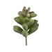 Latitude Run® Succulent Stem Silk/Plastic/Fabric | 4 H x 4 W x 4 D in | Wayfair D368BD72273F4083ADDF372CE963BC10