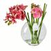 Rosdorf Park Butterfly Orchids Floral Arrangement in Vase Silk/Plastic/Fabric | 9.8 H x 4 W x 6.5 D in | Wayfair 1A04E2BFE1E94079A377065869414FEC