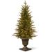 The Holiday Aisle® Nordic Spruce 9.6' Green Artificial Christmas Tree w/ 100 Clear/White Lights in Green/White | 115 H x 13 W x 23 D in | Wayfair