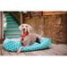 Tucker Murphy Pet™ Rosalie Moroccan Lounge Dog Bed Polyester/Cotton in Green/Blue/Brown | 9 H x 38 W x 30 D in | Wayfair PY3012CLF