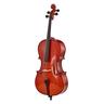 Roth & Junius RJC Cello Set 1/2