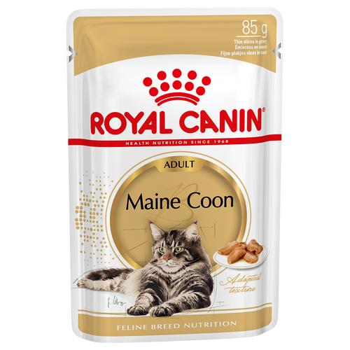 48x85g Maine Coon Royal Canin Katzenfutter