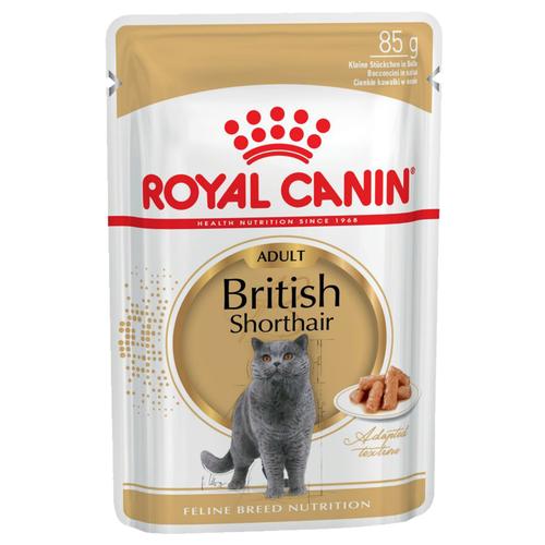 48x85g British Shorthair Royal Canin Katzenfutter