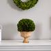 One Allium Way® 5.5" Preserved Boxwood Topiary in Urn Ceramic | 12 H x 9 W x 9 D in | Wayfair AE658E7A2D3F4DC990699790774BA200