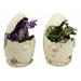 Trinx 2 Piece McAlester lic Colorful Medieval Fantasy Egg Hatchling Baby Dragon Wyrmling Dungeon & Dragon Figurine Set Resin in Green/Indigo | Wayfair