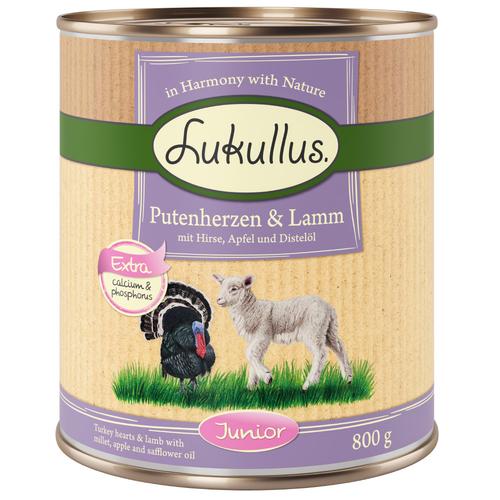 24x800g Naturkost Junior Putenherzen&Lamm Lukullus Hund