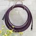 Lightweight Garden Hose - Eggplant, 75Ft - Grandin Road