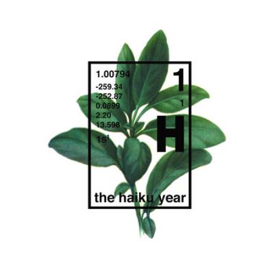 The Haiku Year