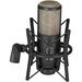 AKG P220 Large-Diaphragm Cardioid Condenser Microphone (Black) 3101H00420