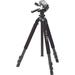 Slik Pro 700 DX Tripod with 700DX 3-Way, Pan-and-Tilt Head (Black) 615-316