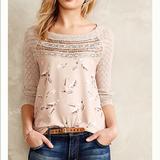 Anthropologie Tops | Anthropologie Aves Lace-Trimmed Pullover | Color: Cream/Tan | Size: Xs