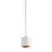 Visual Comfort Modern Collection Exo 5 Inch LED Mini Pendant - 700TDEXOP61230WG-LED935