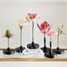 Bunny Williams Floral Specimens - Floral III - Ballard Designs - Ballard Designs
