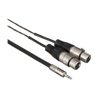 Pro Co Sound Stereo Mini to 2 XLR Female Soundcard Patch Y-Cable - 10' IPMB2XF-10