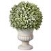 Ophelia & Co. 11" Artificial Herbs Plant in Pot Ceramic/Plastic | 11 H x 7 W x 7 D in | Wayfair 43E6D7D707094FFBAEE4D33FF9224156