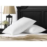 The Twillery Co.® Boden Gel Fiber Plush Pillow Gel Fiber/Microfiber in White | 20 H x 36 W in | Wayfair 7C8D0A99737A437BB2FFCE2C43D4A304