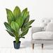 Bay Isle Home™ 40" Artificial Spathiphylum Foliage Plant in Pot Plastic | 46 H x 34 W x 34 D in | Wayfair 59AF9DDCFFAC40DDB2373E8E7DFBBD46