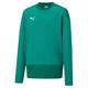 PUMA Kinder teamGOAL 23 Training Sweat Jr Trainingssweatshirt, Pepper Green-Power Green, 176