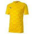 Puma Herren teamFINAL 21 Graphic Jersey Trikot, Cyber Yellow-Spectra Yellow, S