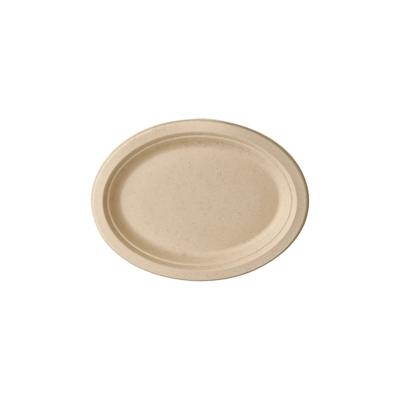 PAPSTAR 500 Teller, Zuckerrohr "pure" oval 26 cm x 20 cm x 2 cm natur