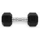 Weider Unisex-Erwachsene Rubber Hex Dumbbell-20 LB Gummihantel, sechseckig, 9 kg, Silber