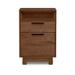 Copeland Furniture Linear Office 2-Drawer Vertical Filing Cabinet Wood in Red/Brown | 26.25 H x 18.5 W x 18 D in | Wayfair 4-LIN-26-43