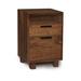 Copeland Furniture Linear Office 2-Drawer Vertical Filing Cabinet Wood in Brown | 26.25 H x 18.5 W x 18 D in | Wayfair 4-LIN-26-04