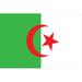U.S. Flag Store Allied Algeria World 2-Sided Nylon 3 x 5 ft. House Flag in Green | 36 H x 60 W in | Wayfair 60-100-70004