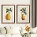 August Grove® Antique Pear Botanical I by Vincent Van Gogh - 2 Piece Picture Frame Painting Print Set Paper, in Orange | Wayfair