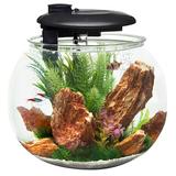 Tucker Murphy Pet™ Kia Round Aquarium Tank in Black | 17.25 H x 17.7 W x 17.7 D in | Wayfair A05F703C25F34338BB0622255541F022