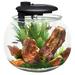 Tucker Murphy Pet™ Kia Round Aquarium Tank in Black | 17.25 H x 17.7 W x 17.7 D in | Wayfair A05F703C25F34338BB0622255541F022