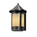 Red Barrel Studio® Arinze 1-Light Outdoor Wall Lantern Glass in Brown | 13.5 H x 7 W x 8.25 D in | Wayfair CBF703D4F5E84F41B04A55292795950F