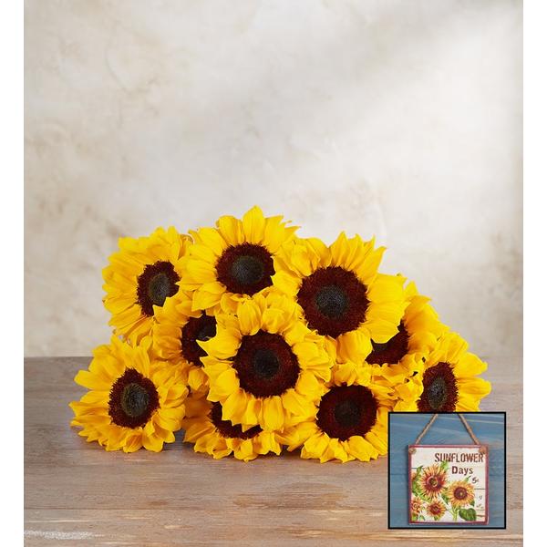 1-800-flowers-flower-delivery-sunflower-bouquet-10-stems,-bouquet-only-w--sunflower-wall-décor-|-happiness-delivered-to-their-door/