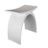 Barclay 16" Resin Shower Chair | 17 H x 15.875 W x 9 D in | Wayfair 6215-GL