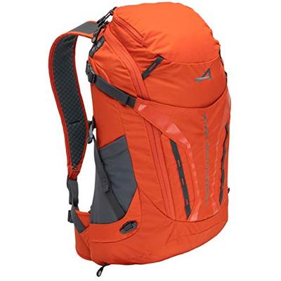 ALPS Mountaineering Baja Day Backpack 20L, Chili/Gray