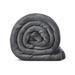 Cozy Tyme Zakary Flannel Blanket Reverse Soild Sherpa For Bedroom Polyester | 90 W in | Wayfair B173A-20LGQ-WR