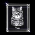 Personalized Custom 3D Photo Engraved Crystal Pet Gift (Medium Rectangle)