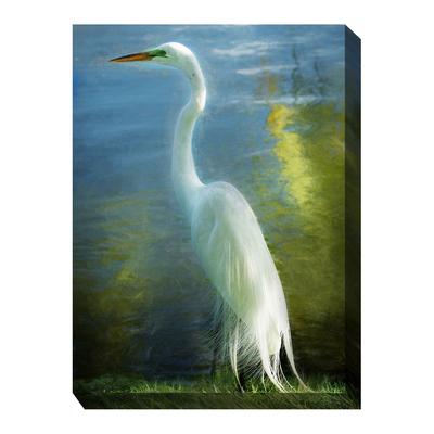 All Weather All Season Outdoor Canvas Art by West Of The Wind in Multi